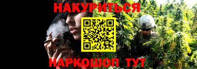 шишки Пыть-Ях