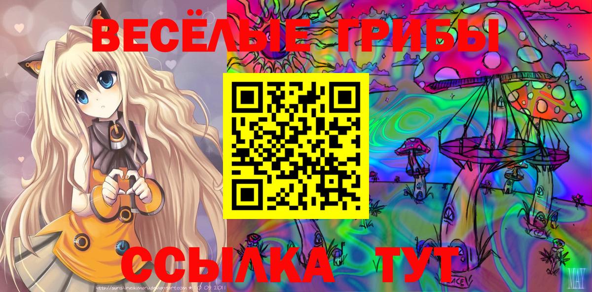 Галлюциногенные грибы ЛСД  Псилоцибиновые грибы мухоморы  даркнет сайт  Вход с VPN  Старая Купавна 
